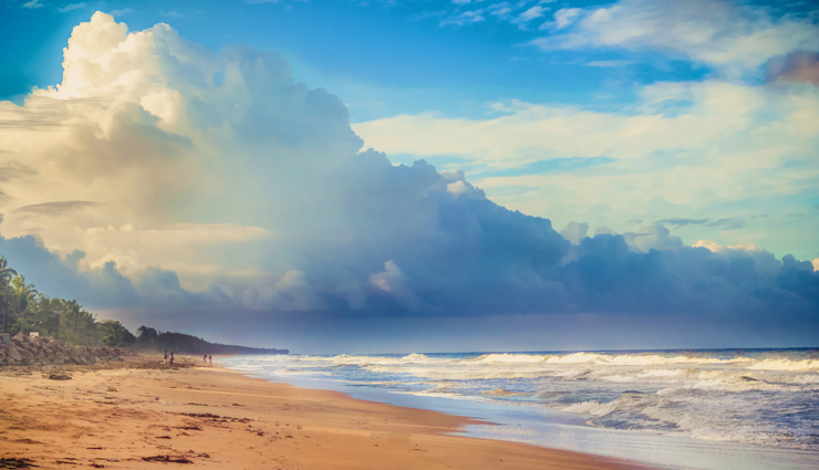 beach destination in india,india,places to visit in india,radhanagar beach,havelock,andaman,kashid beach,maharashtra,tarkarli beach,om beach,gokarna,karnataka,cherai beach,kerala