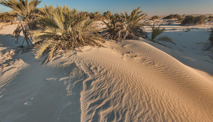 katara beach,four seasons beach,umm bab beach,sealine beach,inland sea,best beaches in doha,beaches in doha,doha