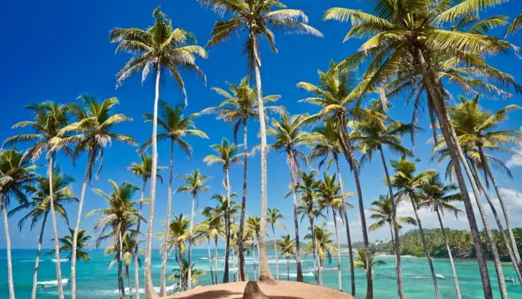 unawatuna,bentota,arugam bay,mirissa,uppuveli,beach getaway in sri lanka,beaches in sri lanka,sri lanka