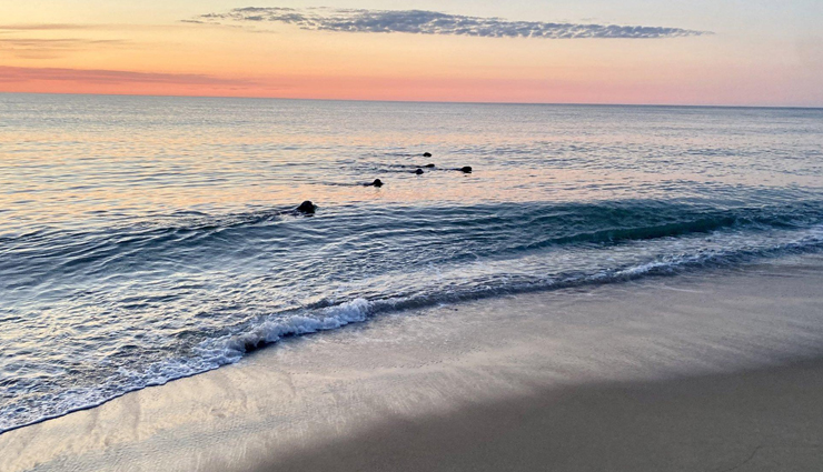 united states,beaches to visit in united states,beautiful beaches,ogunquit beach,ogunquit,maine,coast guard beach,wareham,massachusetts,napatree point beach,westerly,rhode island,wildwood state park wading river,new york,cape may beach,cape may,new jersey,cape henlopen state park,lewes,delaware