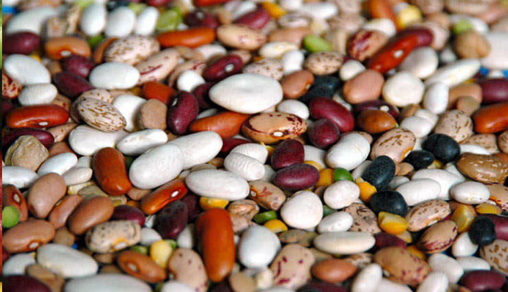 avoid these food for happy journey