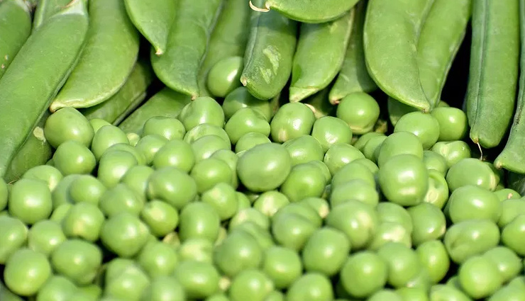 estrogen hormone,estrogen hormone women health,women health,Health,Health tips,importance of estrogen hormone