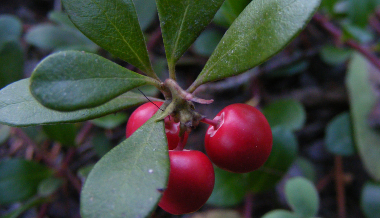 urine infection at home,urine infection in women,urine infection in men,urine infection home remedies,urine infection medicine,urine infection causes,urine infection syrup,urine infection tablet,urine infection symptoms,urine infection and covid,urine infection ayurvedic medicine,urine infection antibiotic,urine infection after sex,urine infection and fever,urine infection after delivery,urine infection ayurvedic treatment,a urine infection symptoms,a urinary infection,is a urine infection contagious,can a urine infection cause back pain,treating a urine infection,urine infection best medicine,urine infection blood,urine infection bacteria,urine infection before period,urine infection diet,urine infection due to diabetes,urine infection gel,urine infection girl,urine infection good food,urine infection how to cure,urine infection juice,urine infection joint pain,urine infection jaundice,urine infection ke symptoms,urine infection ladies,urine infection operation