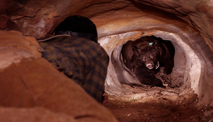 yercaud,yercaud tourism,yercaud travel guide,yercaud attractions,yercaud places to visit,tamil nadu tourism,tamil nadu hill stations,india hill stations,nature tourism,adventure tourism,family tourism,honeymoon destinations,indian travel,india tourism,travel blog,travel guide,travel tips