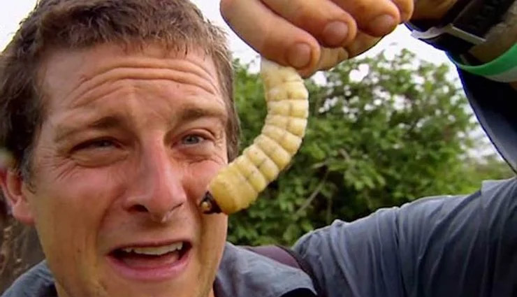 bear grylls,survival expert bear grylls,hollywood