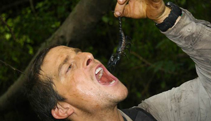 bear grylls,survival expert bear grylls,hollywood
