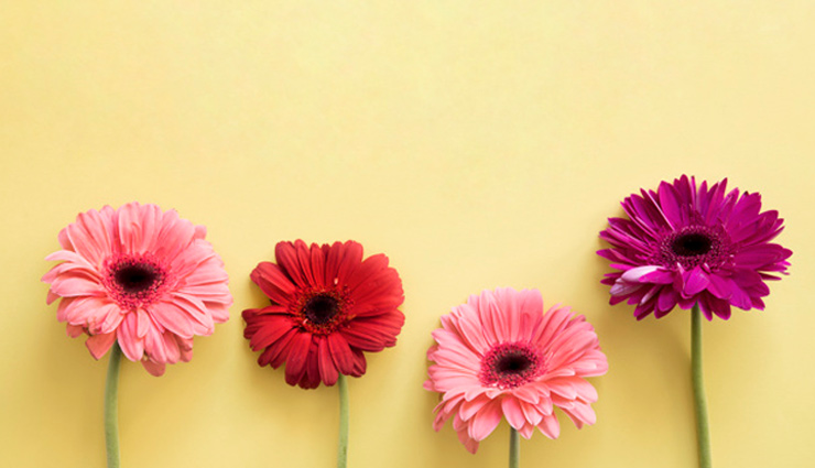 tips to keep flowers fresh for a long time,fresh flowers,fresh flowers for long time,household tips,home decor