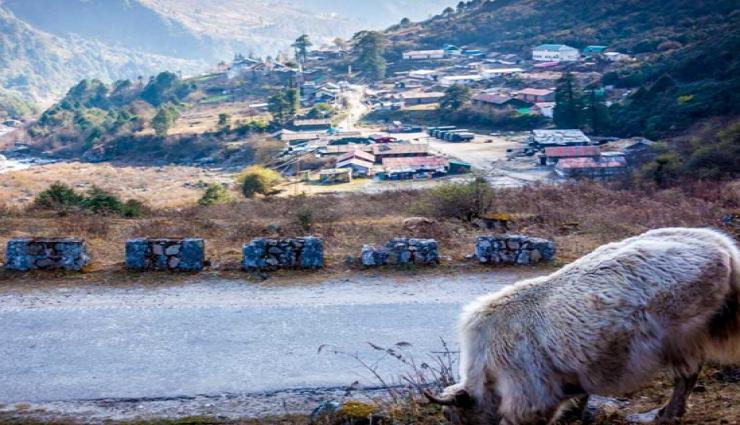 सिक्किम के 5 पर्यटन स्थल जिनकी खूबसूरती काबिले तारीफ़ हैं