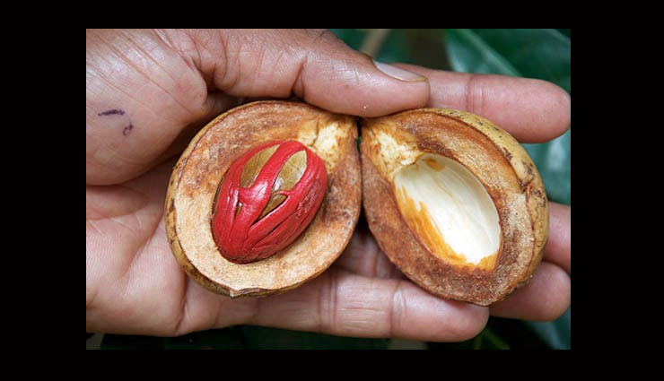 beauty benefits of mace spice,mace spice,glowing skin with mace,home remedies to get glowing skin,beauty tips,skin care tips for winters,skin care tips