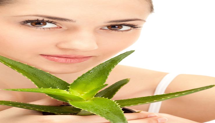 beauty tips,beauty tips in hindi,beauty by aloe vera,aloe vera uses according to skin,home remedies