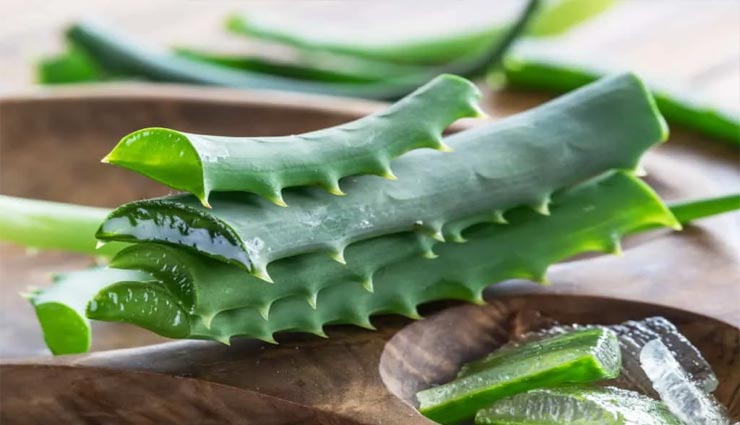 beauty tips,beauty tips in hindi,skin care tips,aloe vera face packs,skin problem