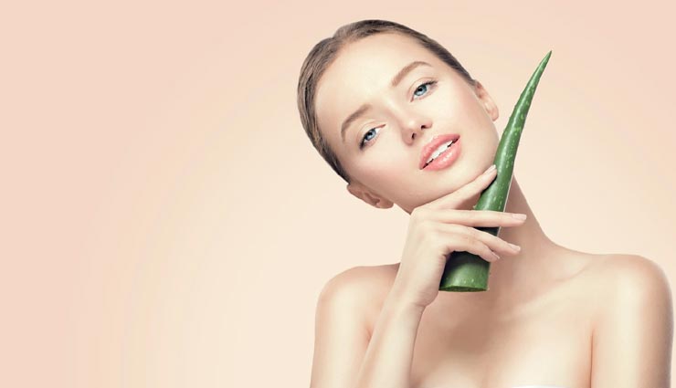 गर्मियों में एलोवेरा बनेगा आपकी स्किन के लिए संजीवनी, मिलेगी निखरी हुई त्वचा