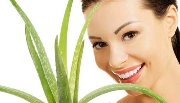 क्या आप जानते हैं चेहरे पर ऐलोवेरा के इस्तेमाल का सही तरीका
