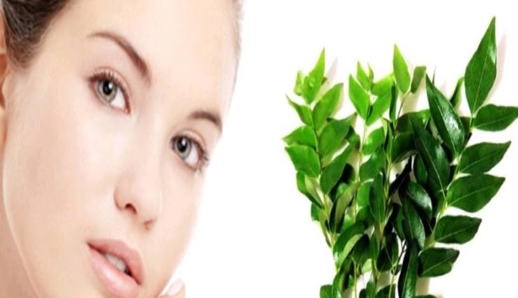 ड्राई स्किन से निजात दिलाएगा करी पत्ता पैक, चहरे की समस्याओं से मिलेगा छुटकारा