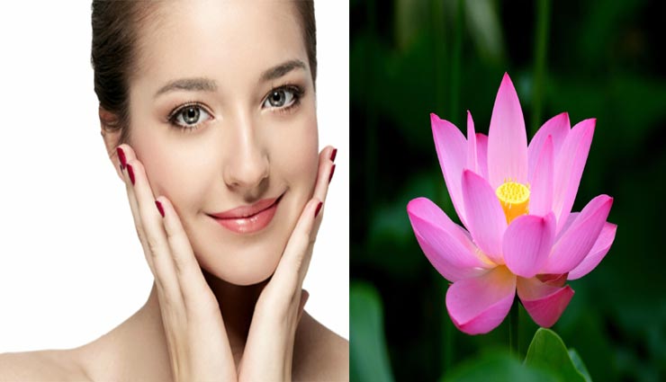 beauty tips,beauty tips in hindi,beauty by lotus flower,home remedies,beautiful face,skin care tips
