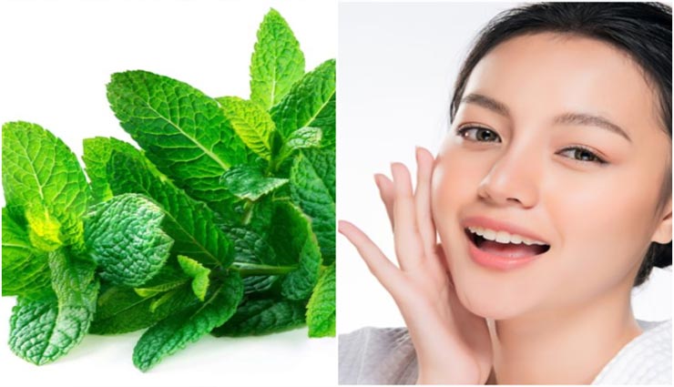 पुदीना करेगा चेहरे से जुड़ी समस्याओं का निवारण, जानें तरीका