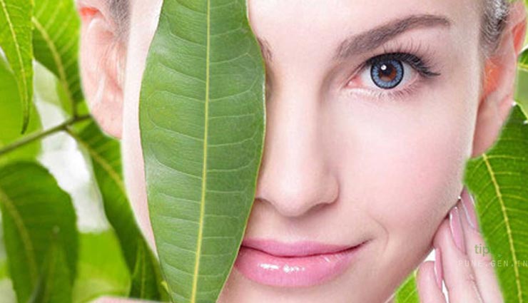 नीम बनता हैं चहरे की हर समस्या का इलाज, जानें इसके इस्तेमाल का तरीका