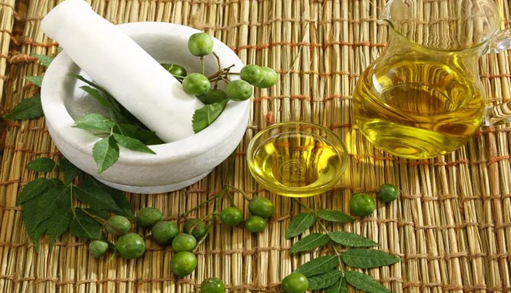 नीम का तेल बनेगा आपकी सुंदरता की वजह, जानें कैसे