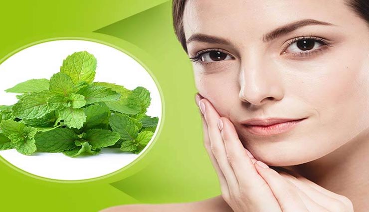 गर्मियों के दिनों में चहरे को ताजगी दिलाएँगे पुदीने से बने ये फेसपैक, जानें इस्तेमाल करने का तरीका