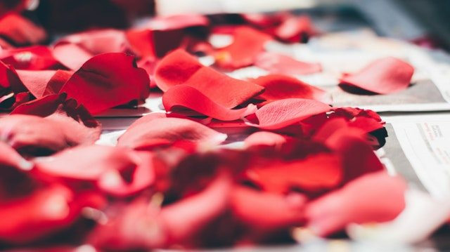 rose petals,beauty benefits of rose petals,rose petals,beauty tips,skin care tips