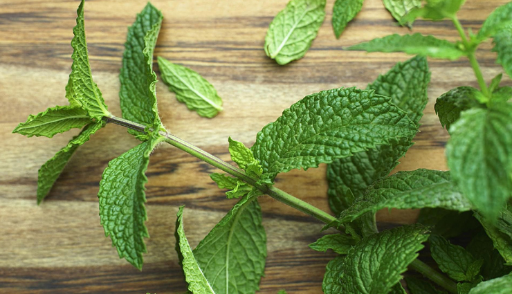 baking soda,vacuum cleaner,bean leaves,tea tree oil,mint leaves,lemongrass,lavender,effective home remedies,home remedies for bed bugs