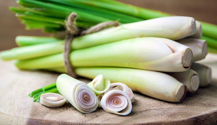 baking soda,vacuum cleaner,bean leaves,tea tree oil,mint leaves,lemongrass,lavender,effective home remedies,home remedies for bed bugs