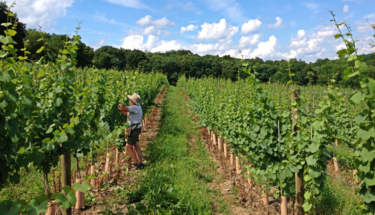 bedford,places to visit in bedford,tourist attraction in bedford,old bedford village,the national museum of the american coverlet,fort bedford museum,briar valley vineyard and winery,bedford speedway,olde bedford brewing company