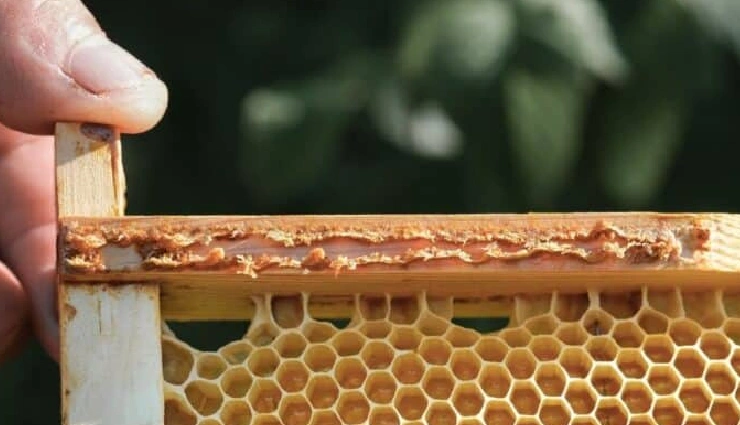 herpes symptoms,herpes prevention,oral herpes,genital herpes,herpes simplex virus,hsv infection,cold sores treatment,genital blisters,natural remedies for herpes,how herpes spreads,managing herpes,viral skin infection,contagious skin diseases,std awareness,safe sex tips