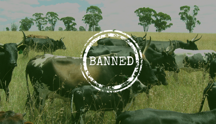 5 things that are banned in india,banned item list,list of bans in india,things that should be banned,recent bans
funny bans in india,things not banned in india,list of illegal activities in india,banned things in the world