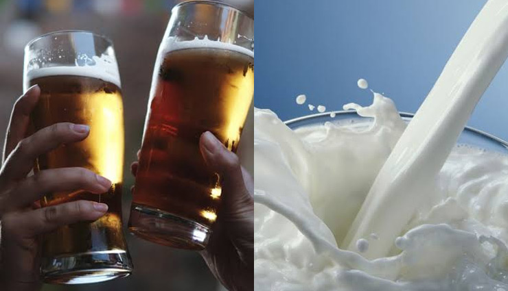PETA का दावा - दूध से ज्यादा बियर पीना फायदेमंद, लोग हैरान