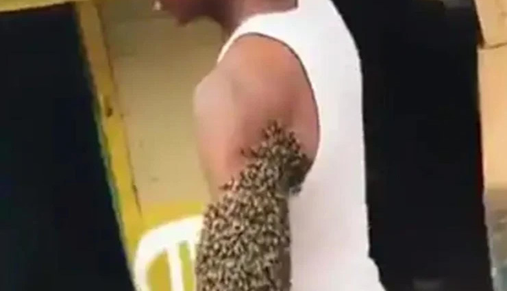 लड़के के पूरे हाथ पर मधुमक्खियों ने बनाया छत्ता, VIDEO देख लोग बोले - ये अविश्वसनीय है