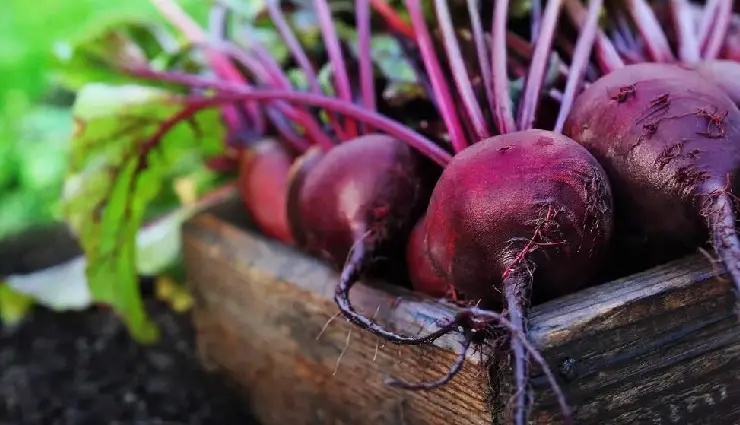 10 Least Known Benefits of Beetroot for Skin
