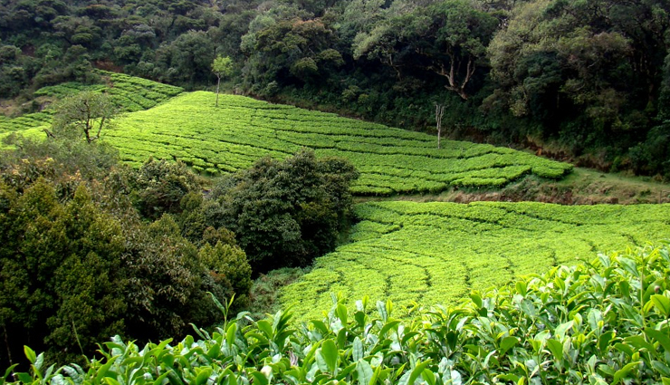 places to visit in india before getting married,places to visit in india,india