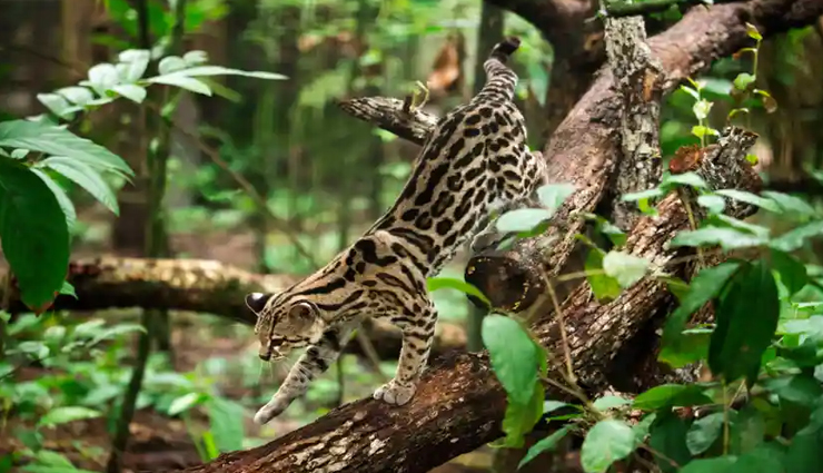 most beautiful places in the world,holidays,travel,tourism