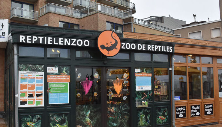 belgium,offbeat places to visit in belgium,tourist spots in belgium