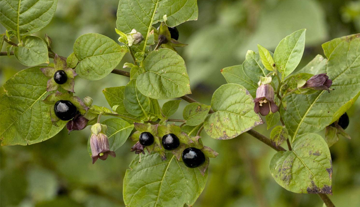 dizziness,dizziness treatment,tips to treat dizziness,tips to get rid of dizziness,dizziness problem,Health,Health tips