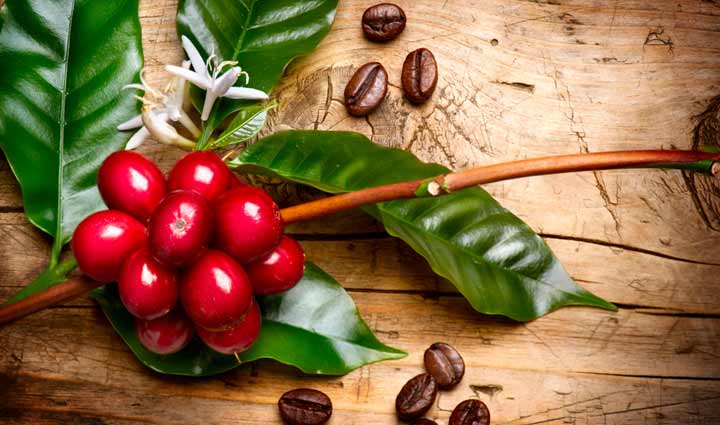 belly bloaters,breakfast,bloating foods,digestive discomfort,healthy eating,wellness tips,nutrition advice,stomach health,dietary choices,gastrointestinal issues,food intolerance