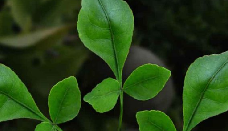 home tips for diabetes management,managing diabetes at home,diabetes home remedies,home-based diabetes control tips,natural ways to control diabetes,lifestyle changes for diabetes,tips to manage diabetes at home,diabetes management strategies at home,easy home remedies to control diabetes,simple lifestyle changes for diabetes management,effective ways to manage diabetes naturally at home