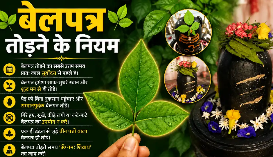 बेलपत्र तोड़ने से पहले जान लें ये नियम, गलत दिन तोड़ा तो नहीं मिलेगा पूजा का पूरा फल