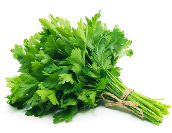 दस्त में हरे धनिये का सेवन रहता है फायदेमंद, जाने और फ़ायदे