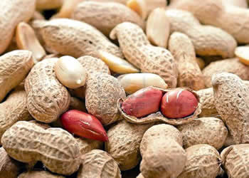 health benefits,health benefits of groundnuts,groundnuts,Health tips