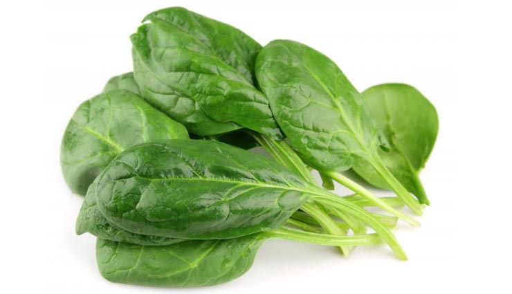spinach,spinach benefits,spinach health benefits,Health tips,health benefits,healthy living ,पालक के फायदे