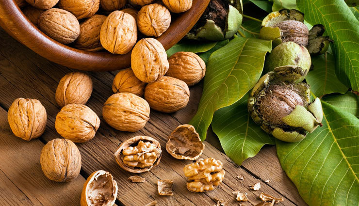 benefits of eating walnut,health benefits of walnut,walnut benefits,healthy living,Health tips