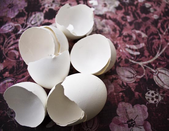ब्यूटी टिप्स : अंडे के छिलके में छिपे है खूबसूरती के कई राज