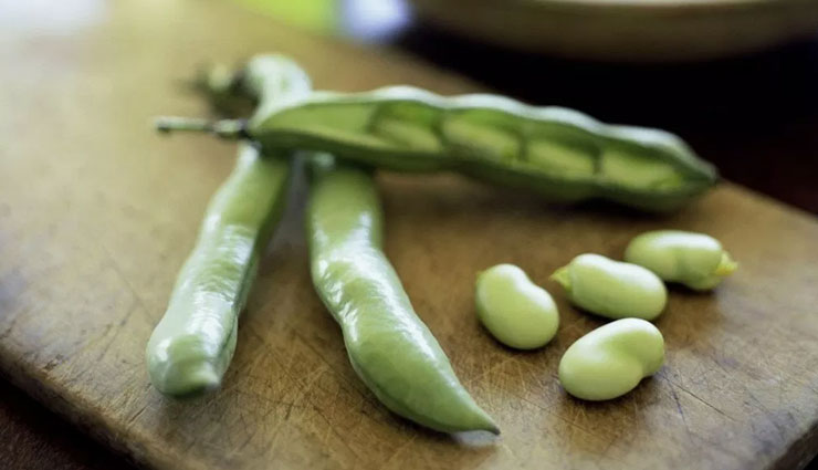 health benefits,health benefits of fava beans,fava beans,Health tips,fitness tips