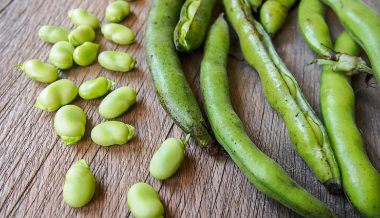 health benefits,health benefits of fava beans,fava beans,Health tips,fitness tips