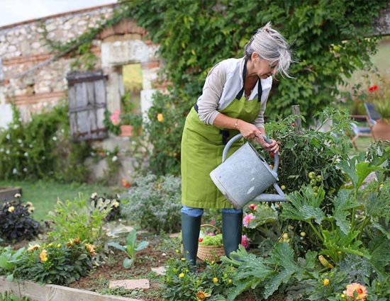 बागवानी करने के 5 शारीरिक फायदे