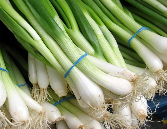 हमारे दिल को स्वस्थ रखता है हरा प्याज, जाने और फायदे 