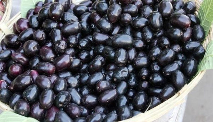 सफ़ेद पानी की समस्या में 'जामुन' का सेवन रहता है फायदेमंद, जाने और फायदे jamun,java plum,jamun benefits,java plum benefits,Health,Health tips