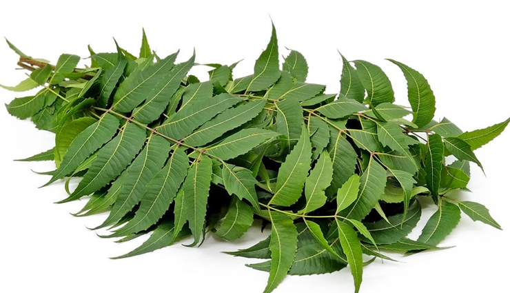 health benefits of eating neem,neem for diabetes,diabetes tips,Health tips,fitness tips